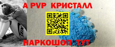 герыч Кингисепп