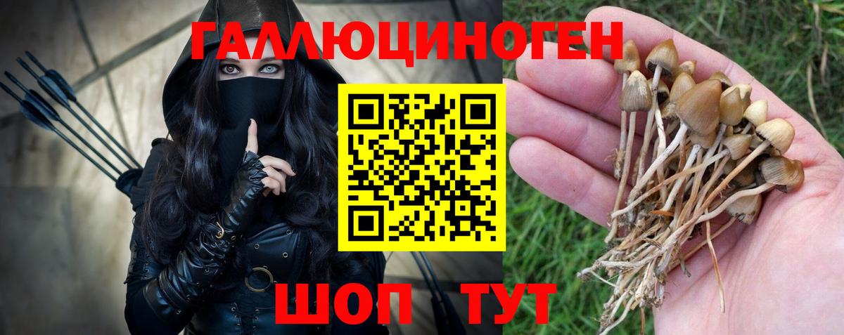 Щёкино  Псилоцибиновые грибы Magic Shrooms  Вход с VPN 
